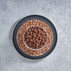 سوداني مغطي بالشوكولا